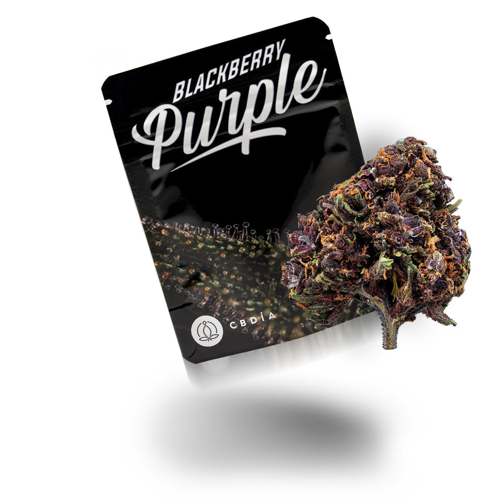 Blackberry Purple Blüten
